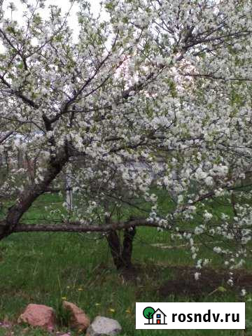 Дача 20 м² на участке 10 сот. на продажу в Усть-Кинельском Усть-Кинельский - изображение 1