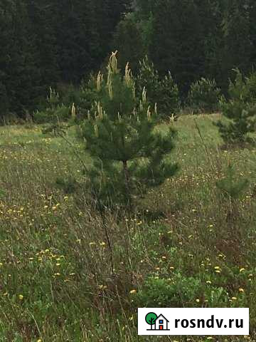 Участок ИЖС 15 сот. на продажу в Завьялово Республики Удмуртия Завьялово - изображение 1