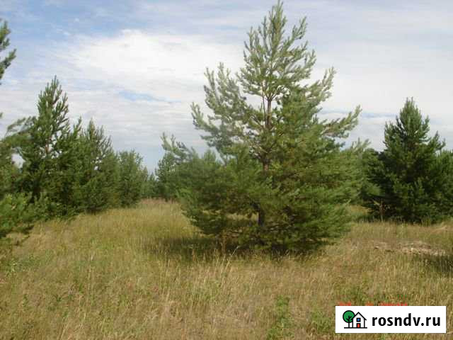 Участок СНТ, ДНП 150 сот. на продажу в Кабанске Кабанск - изображение 1