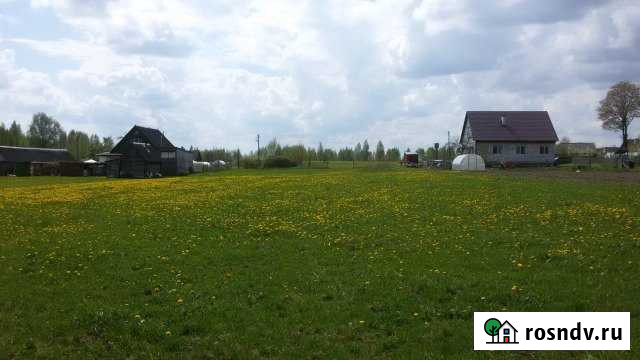 Участок ИЖС 25 сот. на продажу в Красном Красный - изображение 1