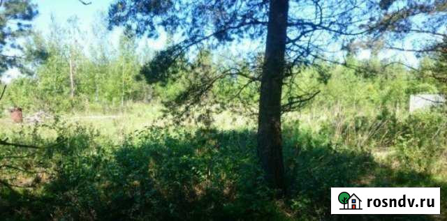 Участок СНТ, ДНП 9 сот. на продажу в Новой Ладоге Новая Ладога - изображение 1