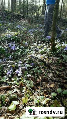 Участок СНТ, ДНП 50 сот. на продажу в Торжке Торжок - изображение 1