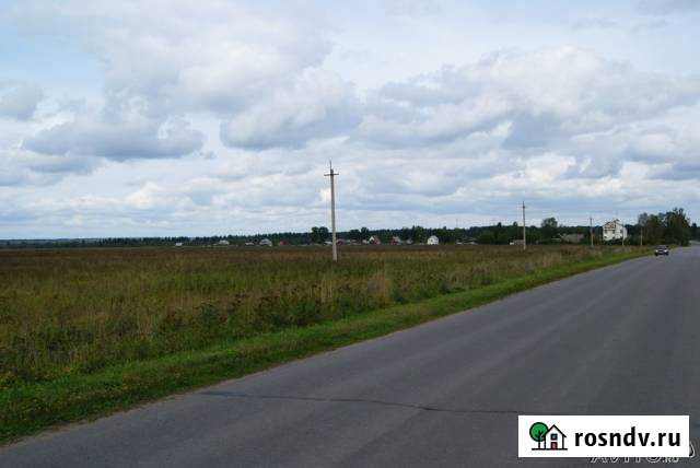 Участок СНТ, ДНП 317 сот. на продажу в Сиверском Сиверский - изображение 1