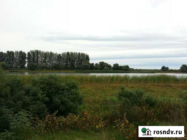 Участок ИЖС 48 сот. на продажу в Икряном Икряное - изображение 1