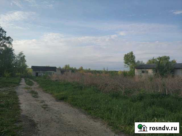 Участок ИЖС 430 сот. на продажу в Павлово Нижегородской области Павлово - изображение 1