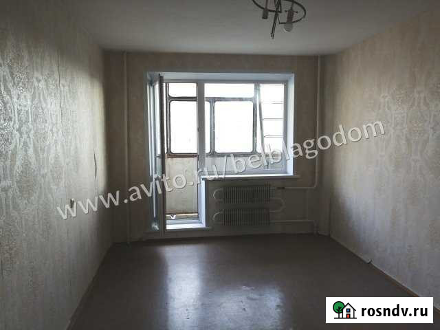 2-комнатная квартира, 52 м², 7/10 эт. на продажу в Строителе Белгородской области Строитель - изображение 1