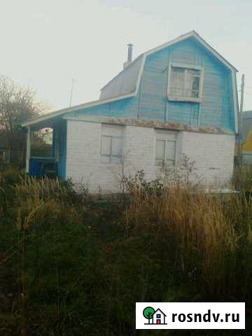 Дача 50 м² на участке 6 сот. на продажу в Пестрецах Пестрецы - изображение 1