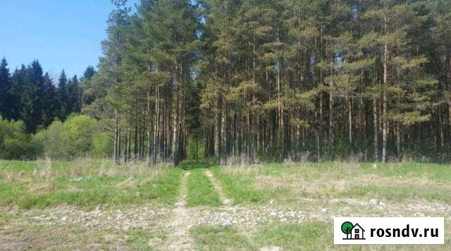 Участок СНТ, ДНП 740 сот. на продажу в Тайцах Тайцы - изображение 1