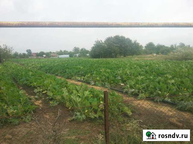 Участок ИЖС 20 сот. на продажу в Ивановской Ивановская - изображение 1