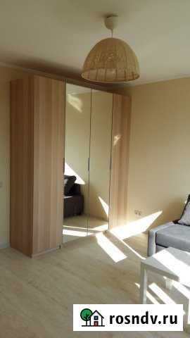 1-комнатная квартира, 42 м², 17/17 эт. в аренду на длительный срок в Видном Видное - изображение 1