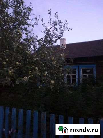 Дом 45 м² на участке 8 сот. на продажу в Ртищево Ртищево - изображение 1