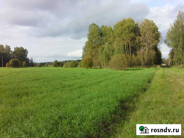 Участок СНТ, ДНП 53 сот. на продажу в Волоколамске Волоколамск - изображение 1