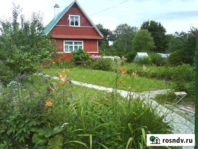 Дача 60 м² на участке 20 сот. на продажу в Толмачево Ленинградской области Толмачево - изображение 1
