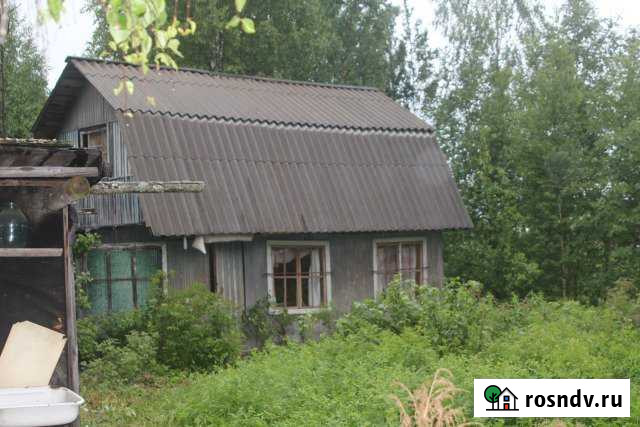 Дача 100 м² на участке 17 сот. на продажу в Волхове Волхов - изображение 1