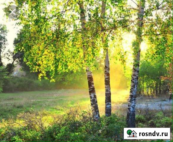 Участок ИЖС 15 сот. на продажу во Введенском Введенское - изображение 1