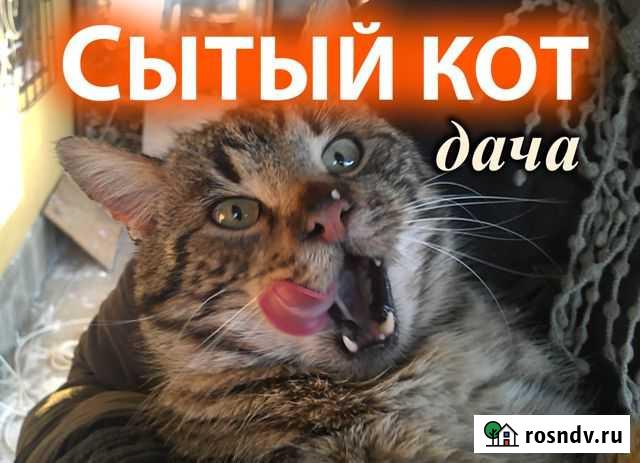 Дача 84 м² на участке 12 сот. в аренду посуточно в Феодосии Феодосия - изображение 1