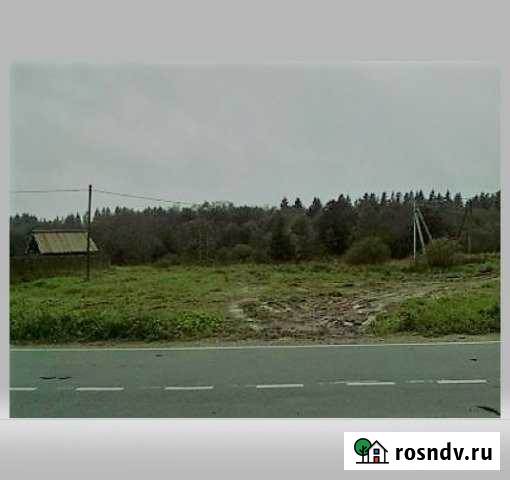 Участок ИЖС 20 сот. на продажу в Волосово Волосово - изображение 1