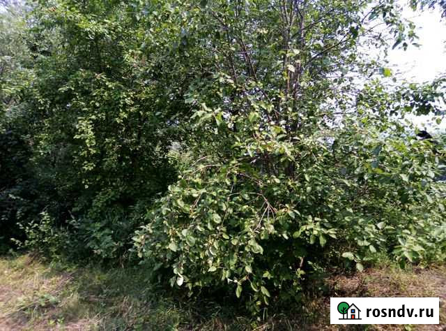 Дом 37 м² на участке 20 сот. на продажу в Советском Советское - изображение 1