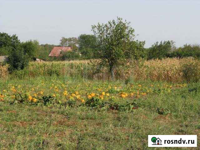 Участок ИЖС 15 сот. на продажу в Рязанской Рязанская - изображение 1