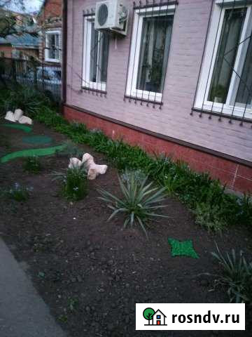 2-комнатная квартира, 33 м², 1/1 эт. на продажу в Тихорецке Тихорецк - изображение 1