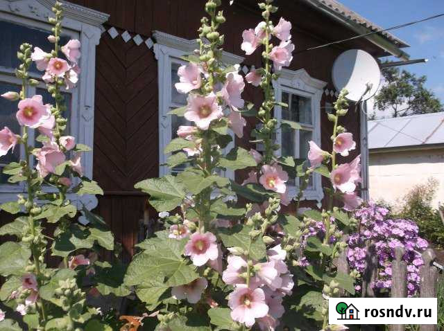 Дом 70 м² на участке 40 сот. на продажу в Мосальске Мосальск - изображение 1