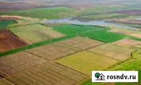 Участок СНТ, ДНП 600 сот. на продажу в Брянске Брянск - изображение 1