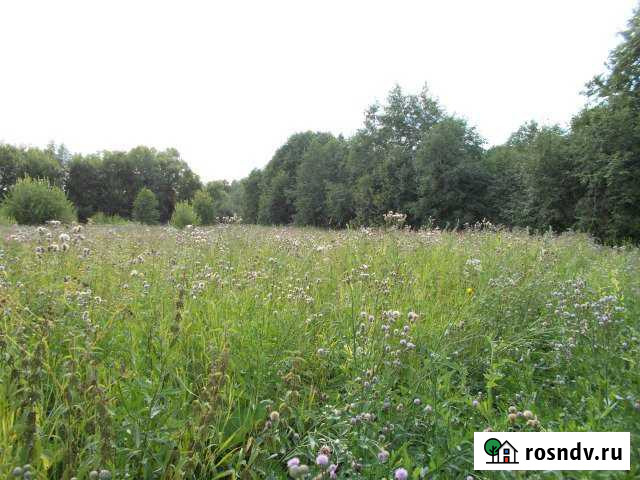 Участок ИЖС 20 сот. на продажу на Лугах Луга - изображение 1