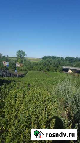 Дом 75 м² на участке 20 сот. на продажу в Черемшане Черемшан - изображение 1