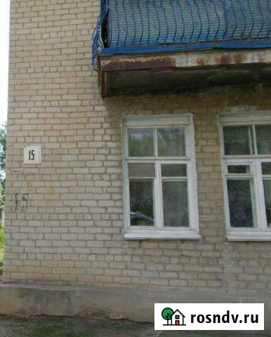 2-комнатная квартира, 49 м², 2/2 эт. на продажу в Первомайском Челябинской области Первомайский - изображение 1