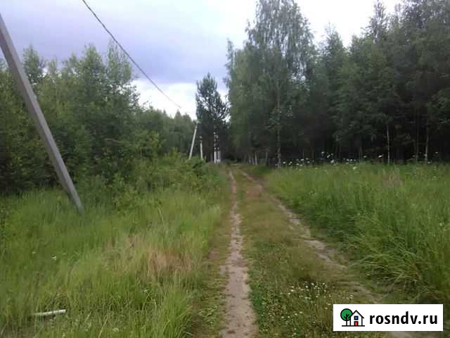 Участок СНТ, ДНП 12 сот. на продажу в Туношне Туношна - изображение 1