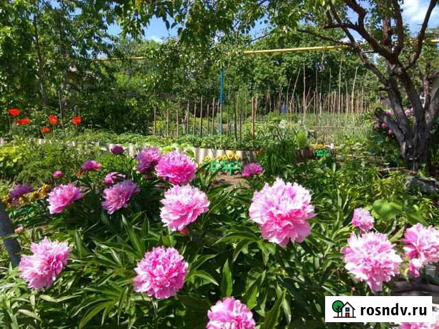 Дом 77 м² на участке 9 сот. на продажу в Вольске Вольск - изображение 1