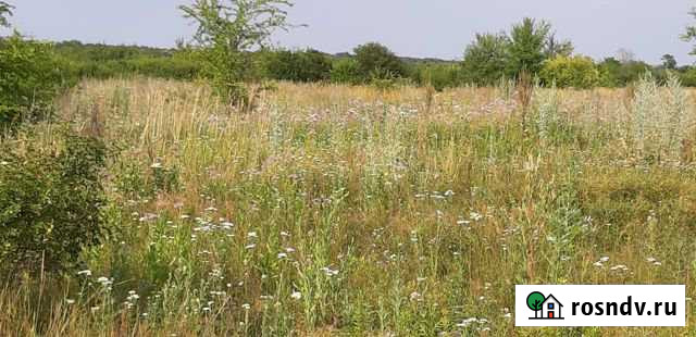 Участок СНТ, ДНП 40 сот. на продажу в Ольгинской Ростовской области Ольгинская - изображение 1