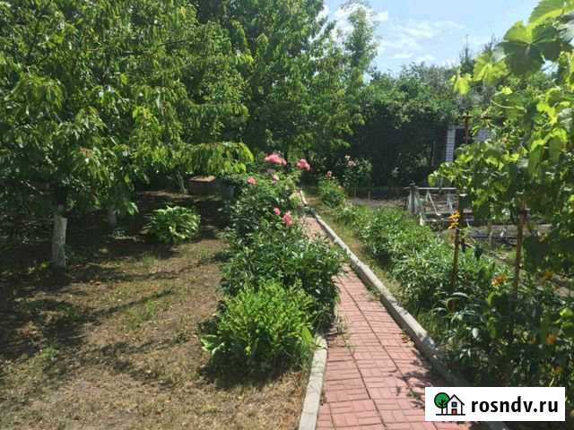 Дача 42 м² на участке 6 сот. на продажу в Разумном Разумное - изображение 1