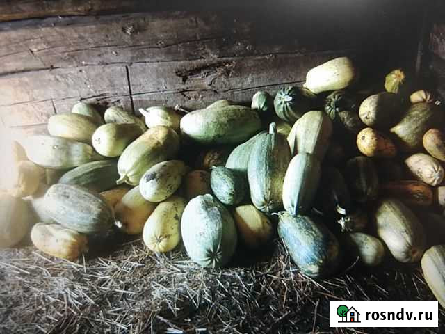 Дом 50 м² на участке 60 сот. на продажу в Черемхово Черемхово - изображение 1