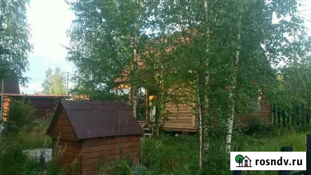 Дача 36 м² на участке 10 сот. в аренду на длительный срок в Санкт-Петербурге Санкт-Петербург - изображение 1