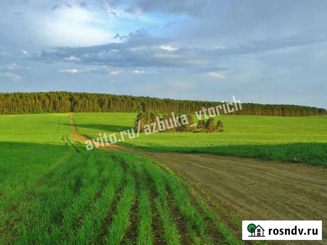 Участок промназначения 460 сот. на продажу в Михнево Михнево - изображение 1