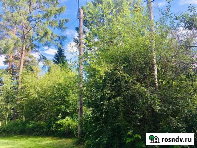 Участок СНТ, ДНП 6 сот. на продажу в Большом Лугу Большой Луг - изображение 1