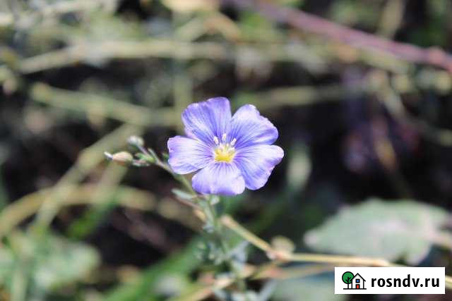 2-комнатная квартира, 52 м², 1/4 эт. на продажу в Горячем Ключе Горячий Ключ - изображение 1