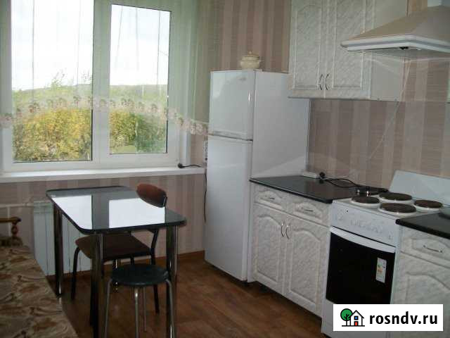 1-комнатная квартира, 29 м², 2/3 эт. на продажу на Камских Полянах Камские Поляны - изображение 1