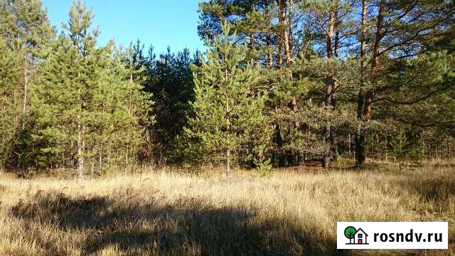 Участок СНТ, ДНП 12 сот. на продажу в Товарково Товарково - изображение 1