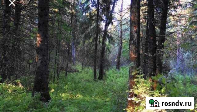 Участок СНТ, ДНП 2000 сот. на продажу в Таежном Хабаровского края Таежное - изображение 1