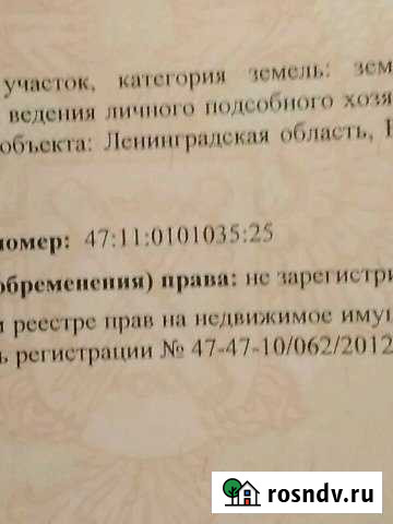 Участок ИЖС 6 сот. на продажу в Новой Ладоге Новая Ладога - изображение 1