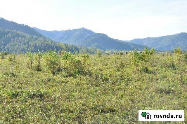 Участок СНТ, ДНП 100 сот. на продажу в Горно-Алтайске Горно-Алтайск - изображение 1