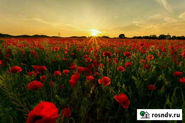 Участок ИЖС 12 сот. на продажу в Карла Либкнехта Карла Либкнехта - изображение 1