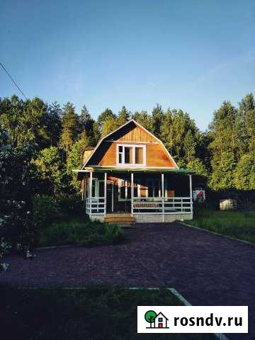 Дом 98 м² на участке 40 сот. в аренду посуточно в Санкт-Петербурге Санкт-Петербург - изображение 1