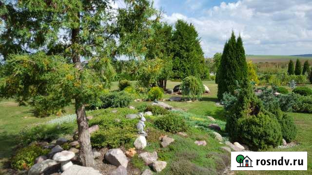 Дом 50 м² на участке 27 сот. на продажу в Ваде Вад - изображение 1