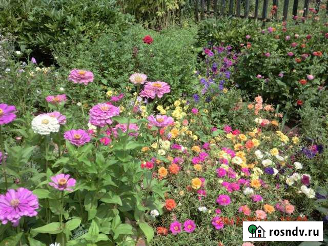 Участок ИЖС 8 сот. на продажу в Кинеле Кинель - изображение 1