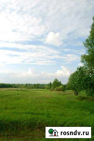 Участок ИЖС 50 сот. на продажу в Сольцах Сольцы - изображение 1