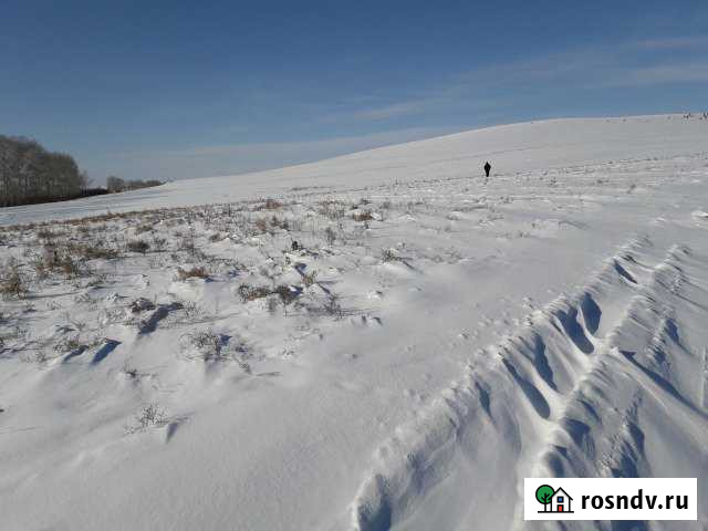 Участок промназначения 93 сот. на продажу в Мухоршибири Мухоршибирь - изображение 1