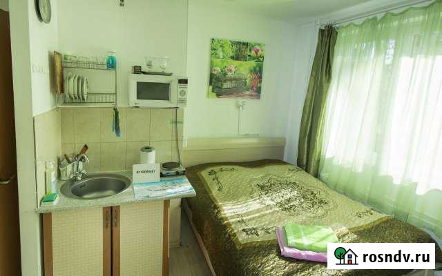 Квартира-студия, 18 м², 1/17 эт. в аренду посуточно в Электроугли Электроугли - изображение 1